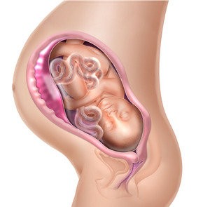 40 semanas