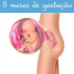Gestação de 5 Meses: Fotos e Sintomas da Gravidez