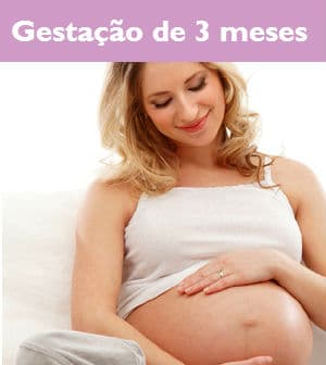 Gestacao De 3 Meses Fotos Sintomas E Imagens Do Feto