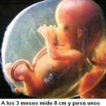 gravidez de 3 meses cuidados