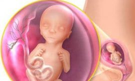 4 Meses de Gestação: Sintomas e Fotos da Gravidez