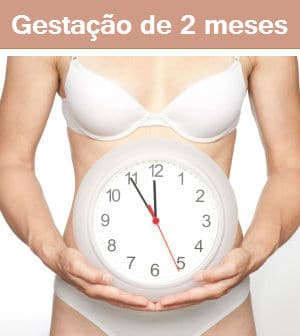 Read more about the article Gestação de 2 Meses: Sintomas e fotos da barriga