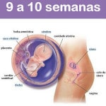 Gestação de 9 a 10 Semanas: Sintomas e Mudanças