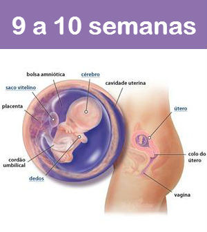 quais os sintomas de gravidez 9 semanas quais os sintomas de gravidez 9 semanas