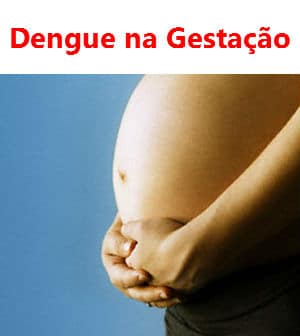 Read more about the article Dengue na gestação, o que fazer?