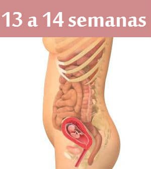 Read more about the article Gestação de 13 a 14 semanas – O que muda na gravidez?
