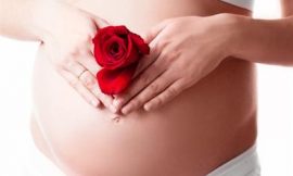 Desenvolvimento do bebê na barriga da mãe