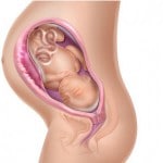 Gestação de 33 a 34 semanas: Principais sintomas