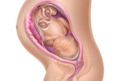 Gestação de 33 a 34 semanas: Principais sintomas