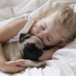 Grávidas, bebês e a convivência com animais