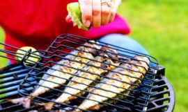 Grávidas podem comer qualquer tipo de peixe e frutos do mar?