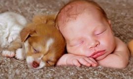15 fotos de bebês com cachorro dormindo