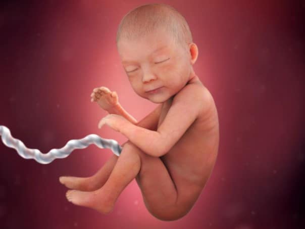 Read more about the article O que o bebê sente dentro da barriga da mãe?