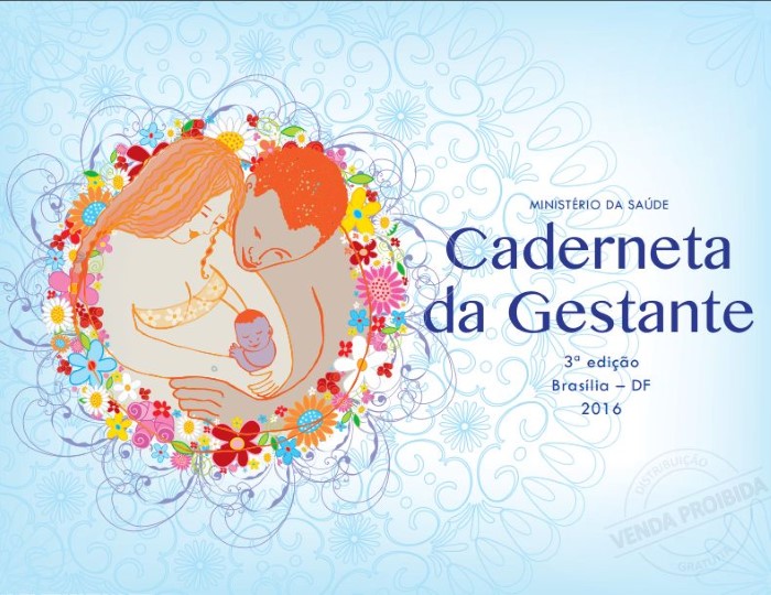 Read more about the article Nova caderneta da gestante 2016