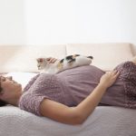 Gestante e gatos: qual o perigo real desta convivência?