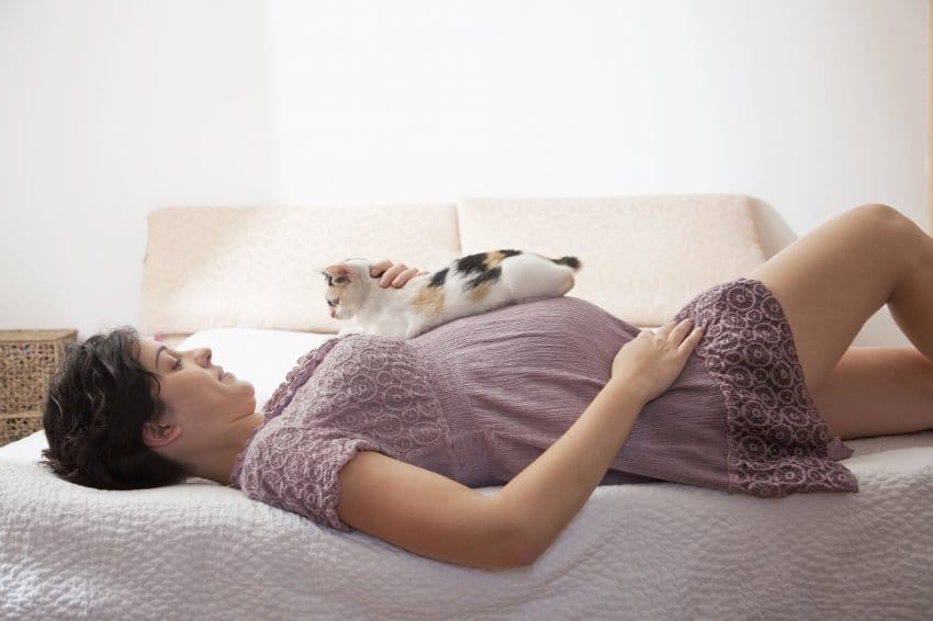 gato e grávida na toxoplasmose