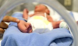 Cientistas criam útero artificial para bebês prematuros