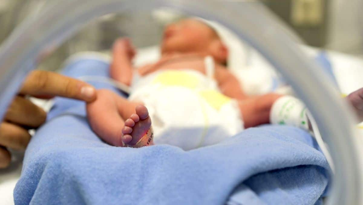 Read more about the article Cientistas criam útero artificial para bebês prematuros