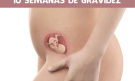 10 Semanas de gravidez