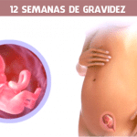 12 semanas de gravidez