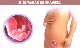 12 semanas de gravidez