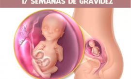 17 semanas de gravidez