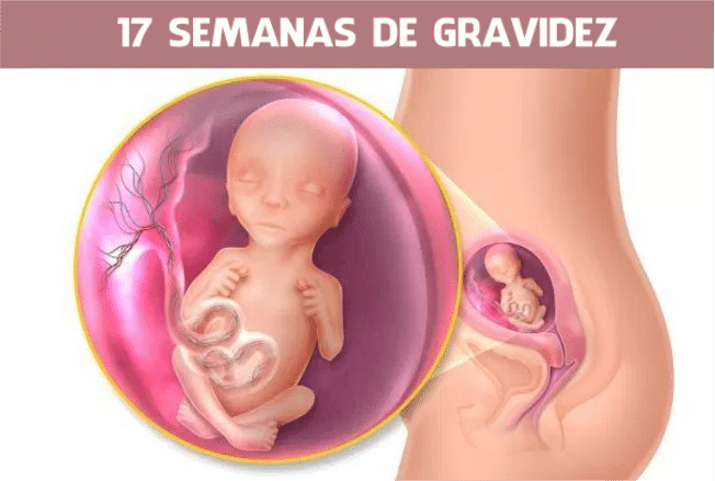 Read more about the article 17 semanas de gravidez