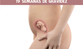 19 semanas de gravidez: como está a barriga?