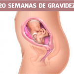 20 semanas de gravidez