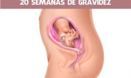 20 semanas de gravidez