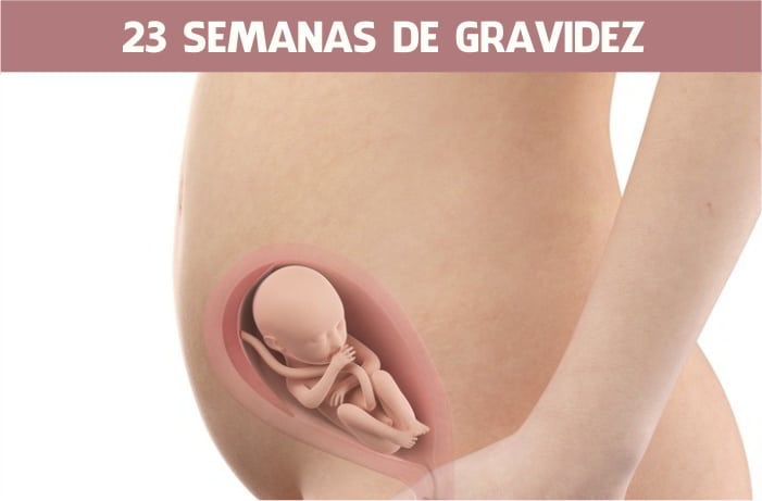 gravidez 23 semanas sintomas