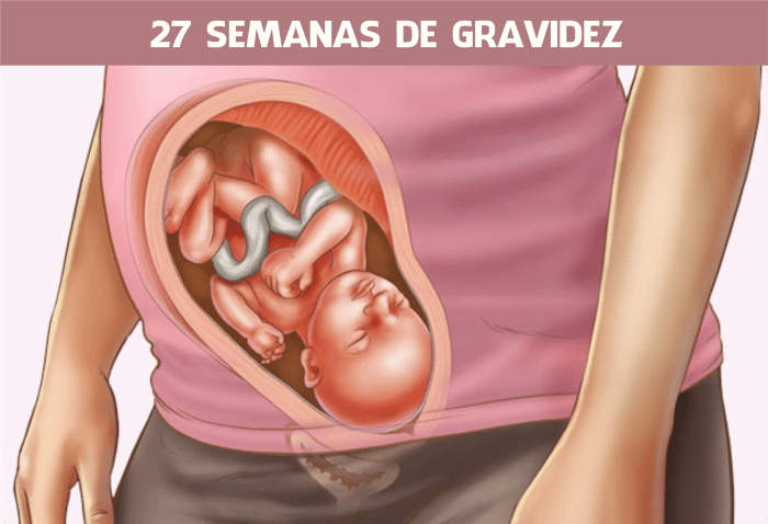 Read more about the article 27 semanas de gravidez