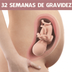 32 semanas de gravidez