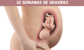 32 semanas de gravidez