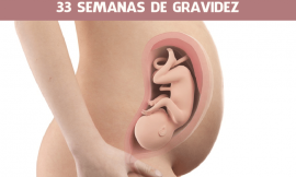 33 semanas de gravidez