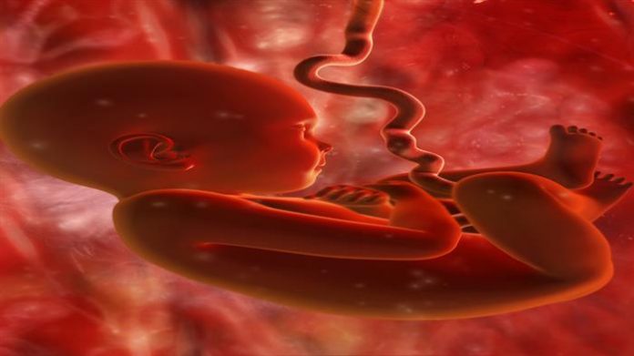 Como cortar o cordão umbilical do bebê?