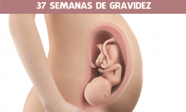 37 Semanas de gravidez