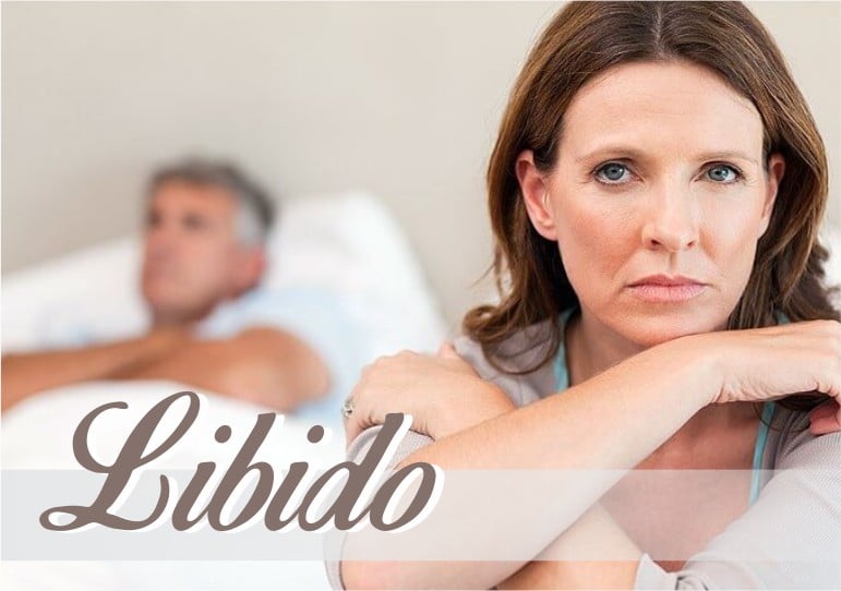 Read more about the article Libido: O que é, como aumentar, remédio caseiro