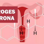 Progesterona: o que é, função, baixa, alta, na gravidez, engorda?