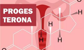 Progesterona: o que é, função, baixa, alta, na gravidez, engorda?