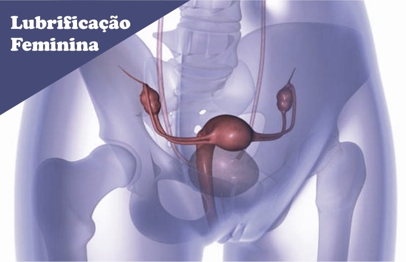 como aumentar a lubricação feminina