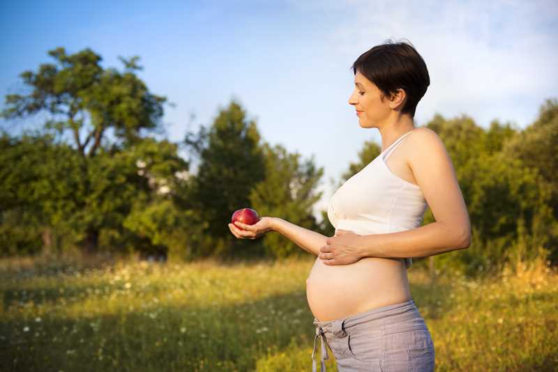 alimentação da gravida