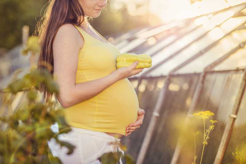 gravida alimentação correta