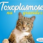 Toxoplasmose na gravidez: o que causa, diagnóstico, riscos e tratamento