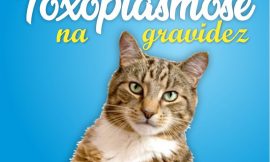 Toxoplasmose na gravidez: o que causa, diagnóstico, riscos e tratamento