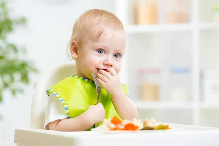 alimentos ricos em ferro para papinha de bebe