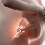 Posição fetal durante a gestação