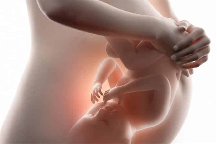 posição fetal durante gestação