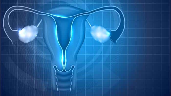 endometrio na gravidez