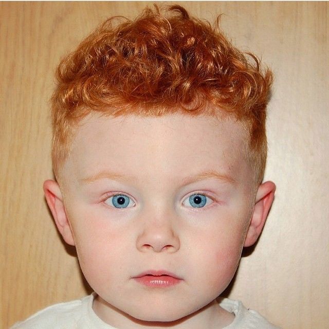 corte masculino infantil cabelo cacheado